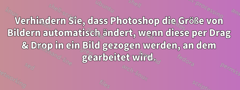Verhindern Sie, dass Photoshop die Größe von Bildern automatisch ändert, wenn diese per Drag & Drop in ein Bild gezogen werden, an dem gearbeitet wird.