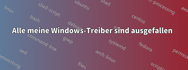 Alle meine Windows-Treiber sind ausgefallen
