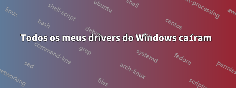 Todos os meus drivers do Windows caíram