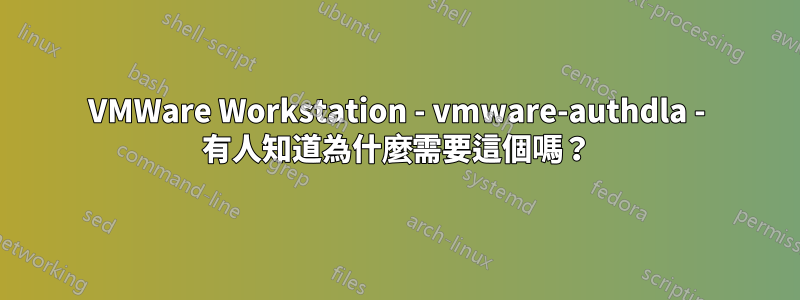 VMWare Workstation - vmware-authdla - 有人知道為什麼需要這個嗎？