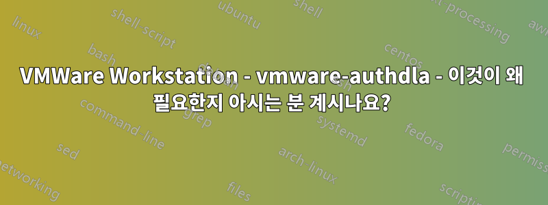 VMWare Workstation - vmware-authdla - 이것이 왜 필요한지 아시는 분 계시나요?