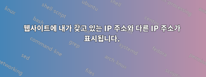 웹사이트에 내가 갖고 있는 IP 주소와 다른 IP 주소가 표시됩니다.