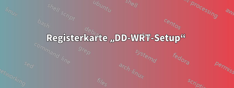 Registerkarte „DD-WRT-Setup“