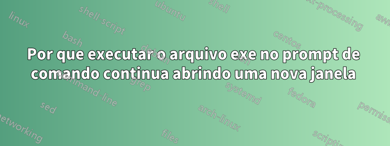 Por que executar o arquivo exe no prompt de comando continua abrindo uma nova janela