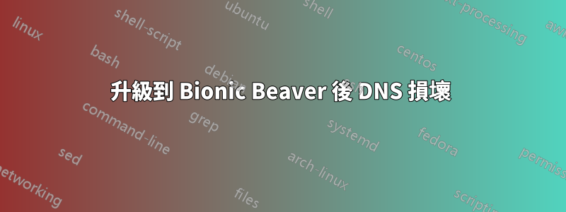 升級到 Bionic Beaver 後 DNS 損壞