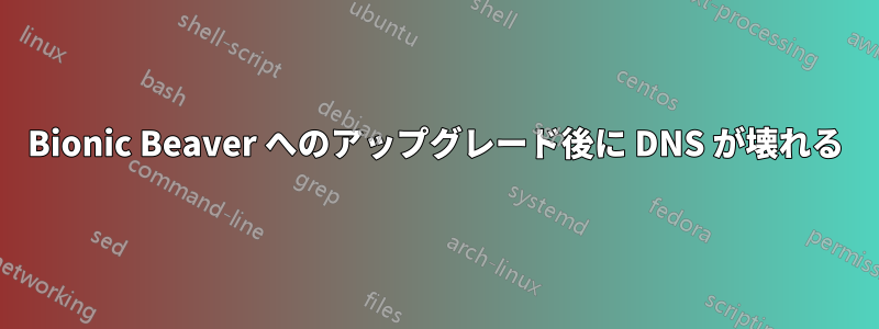 Bionic Beaver へのアップグレード後に DNS が壊れる