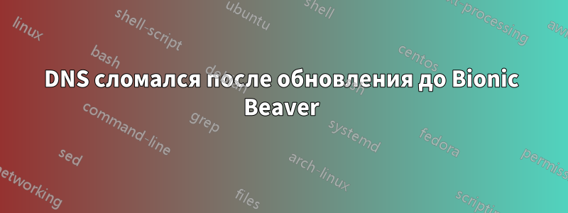 DNS сломался после обновления до Bionic Beaver