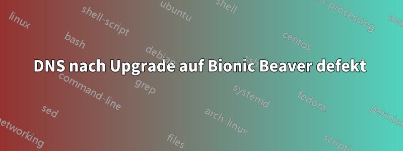 DNS nach Upgrade auf Bionic Beaver defekt