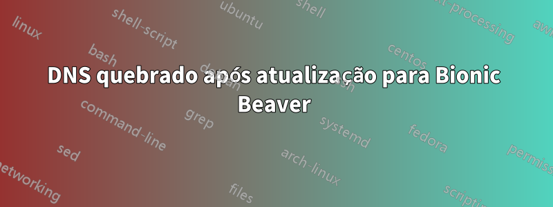 DNS quebrado após atualização para Bionic Beaver