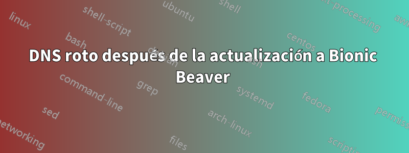 DNS roto después de la actualización a Bionic Beaver
