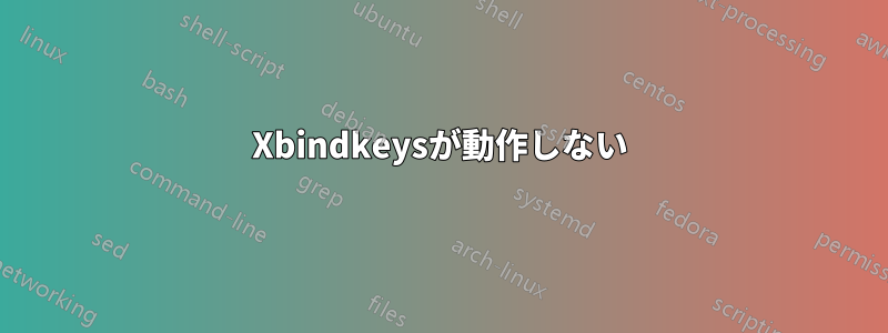 Xbindkeysが動作しない