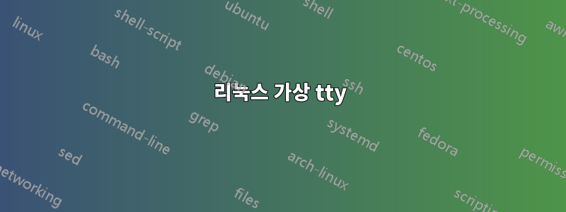 리눅스 가상 tty