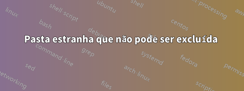 Pasta estranha que não pode ser excluída