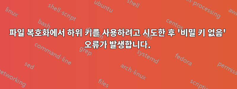 파일 복호화에서 하위 키를 사용하려고 시도한 후 '비밀 키 없음' 오류가 발생합니다.
