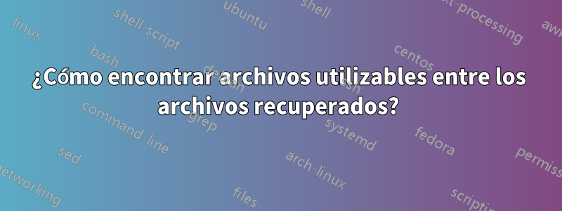 ¿Cómo encontrar archivos utilizables entre los archivos recuperados?