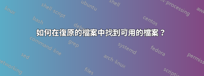 如何在復原的檔案中找到可用的檔案？