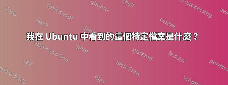 我在 Ubuntu 中看到的這個特定檔案是什麼？