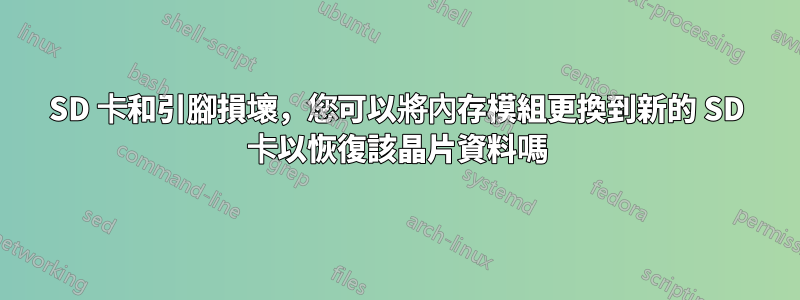 SD 卡和引腳損壞，您可以將內存模組更換到新的 SD 卡以恢復該晶片資料嗎