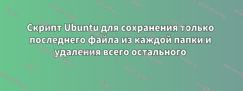 Скрипт Ubuntu для сохранения только последнего файла из каждой папки и удаления всего остального