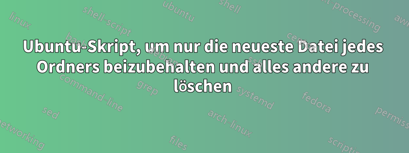 Ubuntu-Skript, um nur die neueste Datei jedes Ordners beizubehalten und alles andere zu löschen