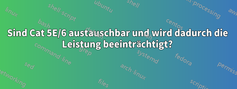 Sind Cat 5E/6 austauschbar und wird dadurch die Leistung beeinträchtigt?