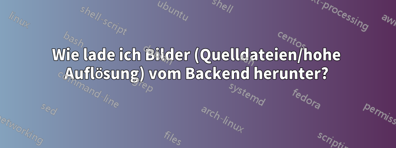Wie lade ich Bilder (Quelldateien/hohe Auflösung) vom Backend herunter?