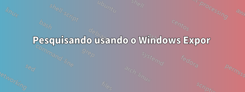 Pesquisando usando o Windows Expor