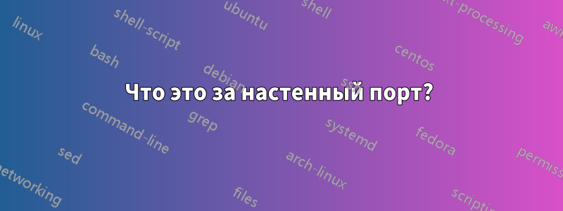 Что это за настенный порт?