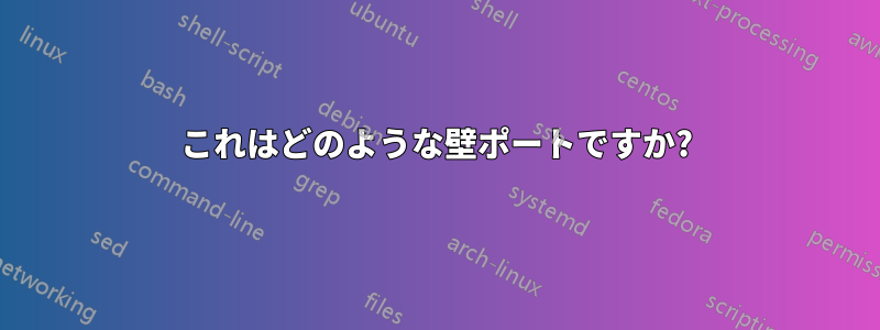 これはどのような壁ポートですか?