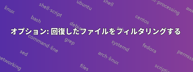 オプション: 回復したファイルをフィルタリングする