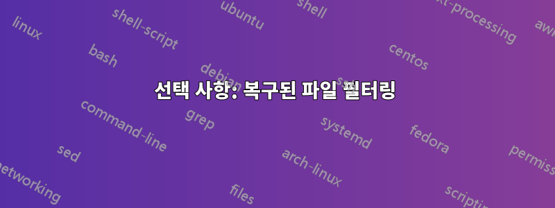 선택 사항: 복구된 파일 필터링