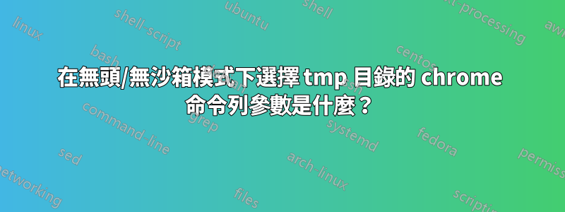 在無頭/無沙箱模式下選擇 tmp 目錄的 chrome 命令列參數是什麼？