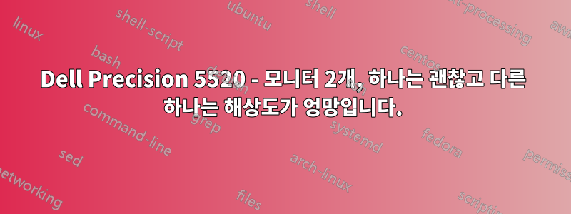 Dell Precision 5520 - 모니터 2개, 하나는 괜찮고 다른 하나는 해상도가 엉망입니다.