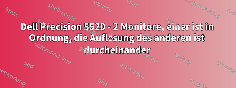 Dell Precision 5520 - 2 Monitore, einer ist in Ordnung, die Auflösung des anderen ist durcheinander