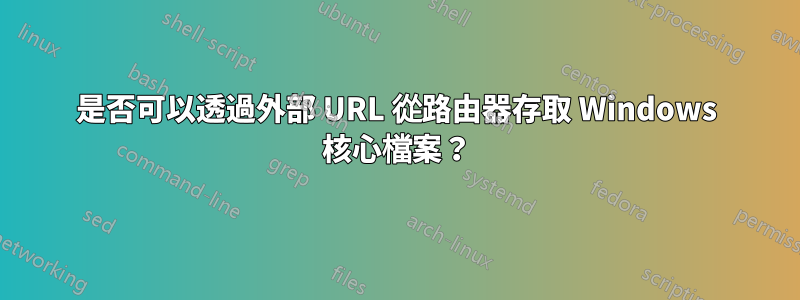 是否可以透過外部 URL 從路由器存取 Windows 核心檔案？