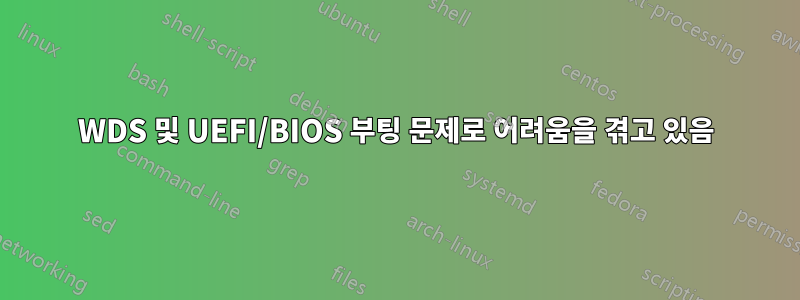 WDS 및 UEFI/BIOS 부팅 문제로 어려움을 겪고 있음