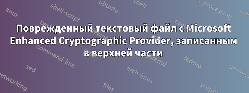 Поврежденный текстовый файл с Microsoft Enhanced Cryptographic Provider, записанным в верхней части