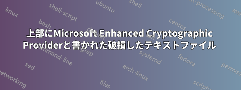 上部にMicrosoft Enhanced Cryptographic Providerと書かれた破損したテキストファイル
