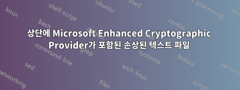 상단에 Microsoft Enhanced Cryptographic Provider가 포함된 손상된 텍스트 파일