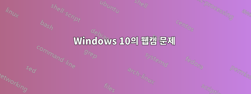 Windows 10의 웹캠 문제