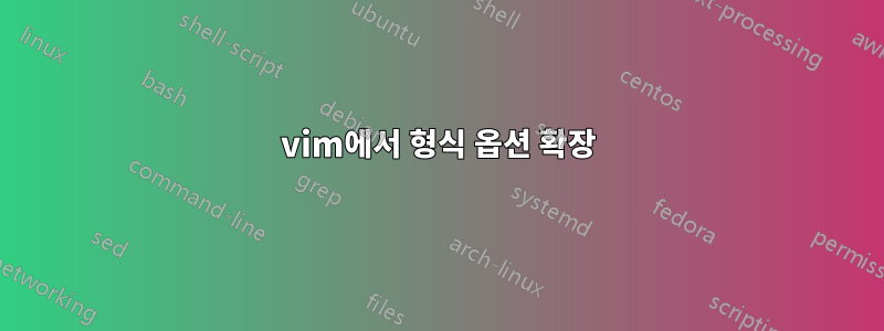 vim에서 형식 옵션 확장