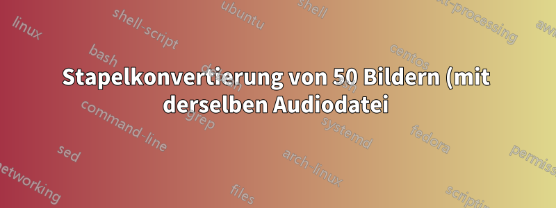 Stapelkonvertierung von 50 Bildern (mit derselben Audiodatei) in 50 Videos mit FFmpeg