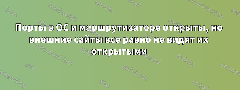 Порты в ОС и маршрутизаторе открыты, но внешние сайты все равно не видят их открытыми