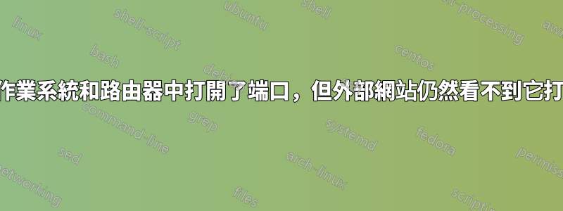 在作業系統和路由器中打開了端口，但外部網站仍然看不到它打開