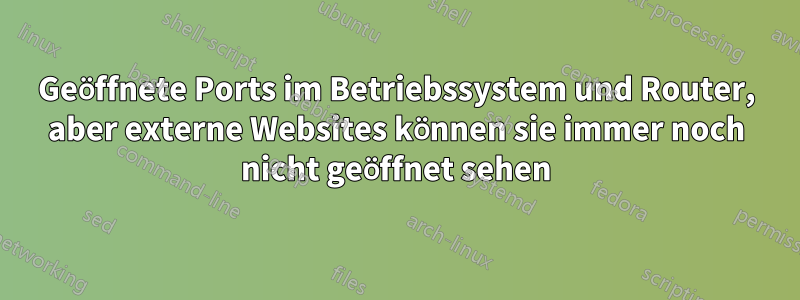 Geöffnete Ports im Betriebssystem und Router, aber externe Websites können sie immer noch nicht geöffnet sehen