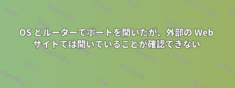 OS とルーターでポートを開いたが、外部の Web サイトでは開いていることが確認できない