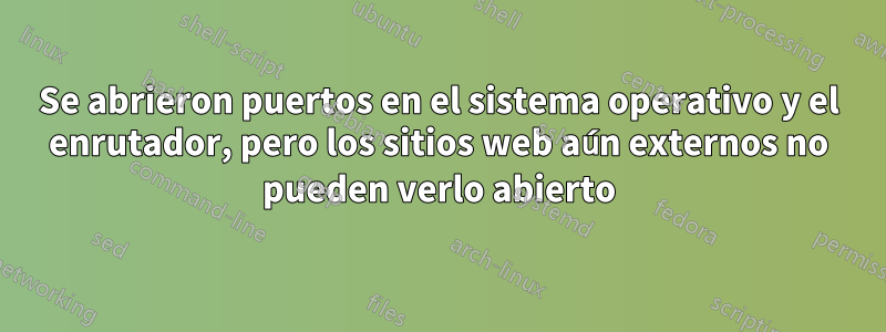 Se abrieron puertos en el sistema operativo y el enrutador, pero los sitios web aún externos no pueden verlo abierto