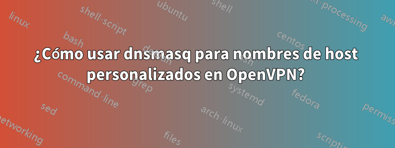 ¿Cómo usar dnsmasq para nombres de host personalizados en OpenVPN?