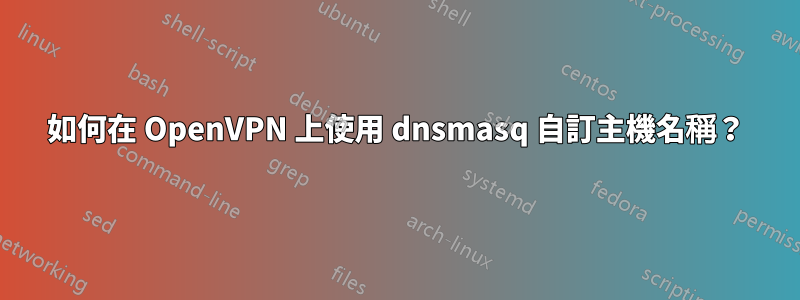 如何在 OpenVPN 上使用 dnsmasq 自訂主機名稱？