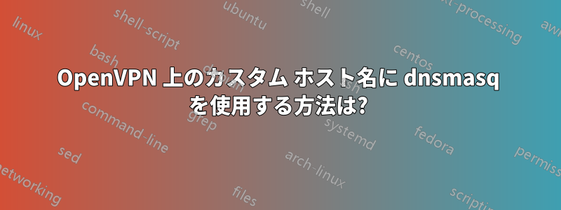 OpenVPN 上のカスタム ホスト名に dnsmasq を使用する方法は?